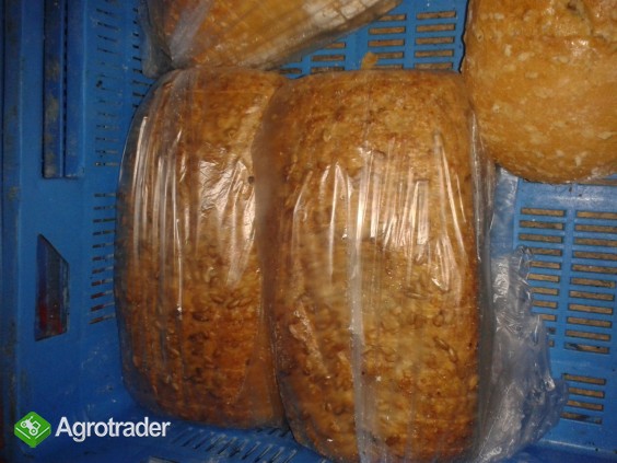 Kołacze, Makowce Chleb na naturalnym zakwasie - zdjęcie 1