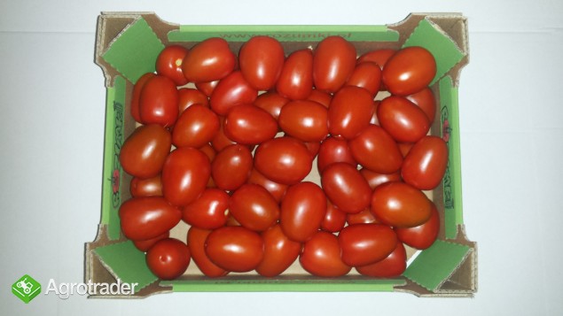 Sprzedamy pomidory - zdjęcie 2