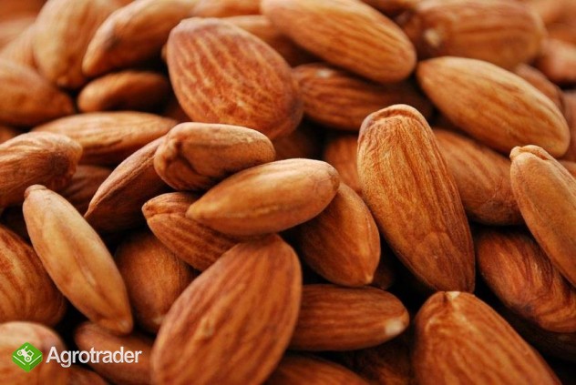 Raw Natural Almond Nuts - zdjęcie 1