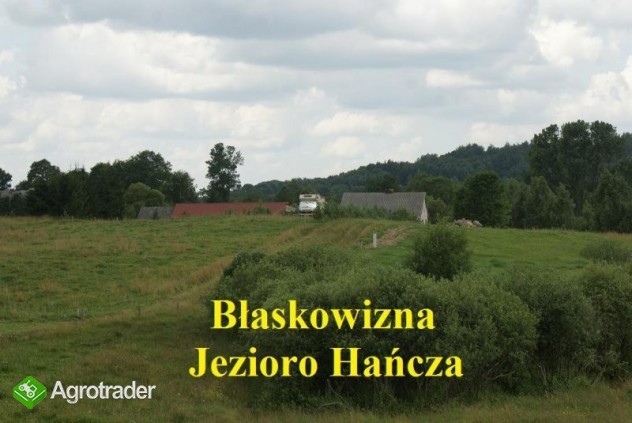(71) Działki w miejscowości Błaskowizna - zdjęcie 4