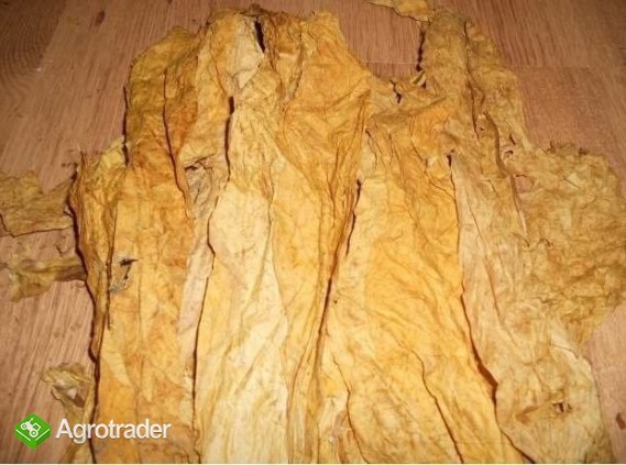 FERMENTACJA , PROFESJONALNE PRZYGOTOWANIE - zdjęcie 2