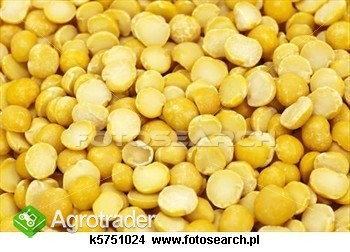 GROCH ŻÓŁTY KONSUMPCJA