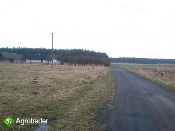 Sprzedam grunt rolny gm. Gomunice 3,32ha - zdjęcie 2