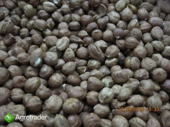 Sprzedamy orzechy laskowe i arachidowe - zdjęcie 1