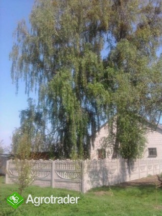 Sprzedam gospodarstwo rolne