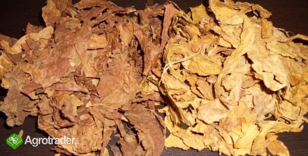 FERMETNACJA ,FABRYCZNE PRZYGOTOWANIE